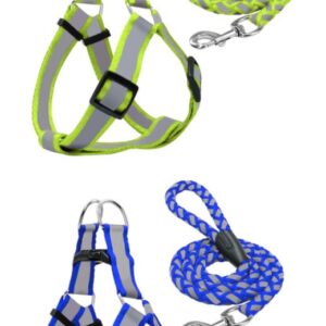 Arnes Y Correa Reflectiva Para Perros