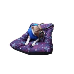 Colchoneta rectangular perros grandes