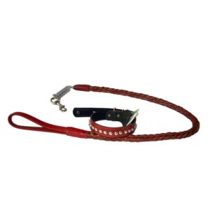 Collar Y Correa En Cuero Para Perros