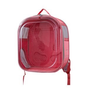 Morral Transparente Cuadrado